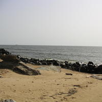 20050301_182920_0.jpg