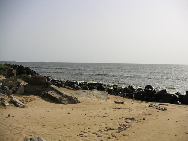 20050301_182920_0.jpg
