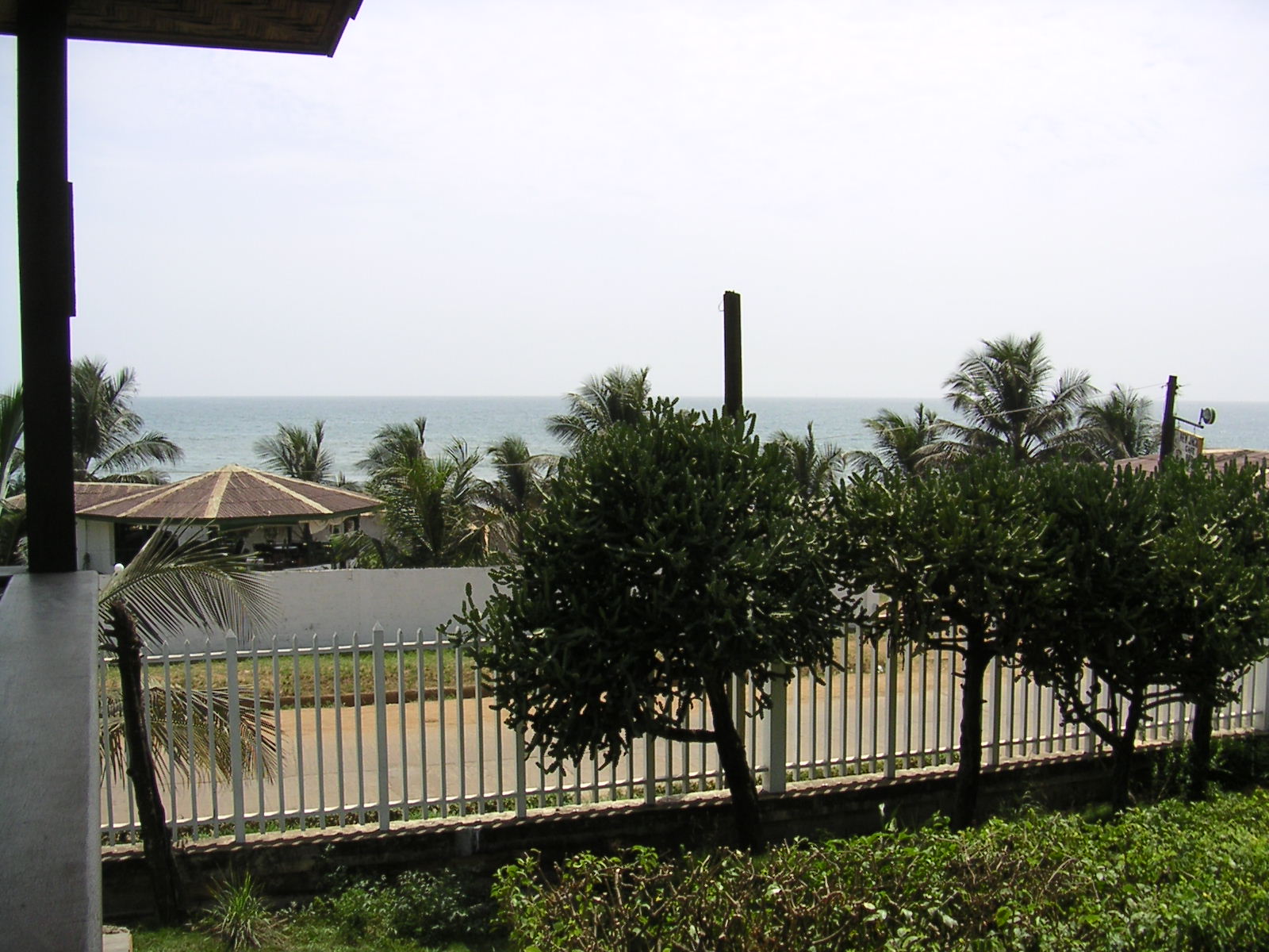 20050304_163009_0.jpg