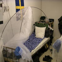 Min himmelssäng, med myggnät