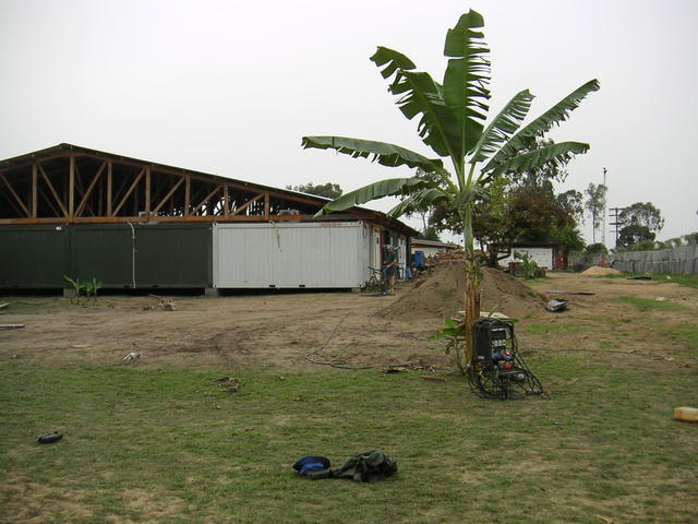 20050308_201851_0.jpg