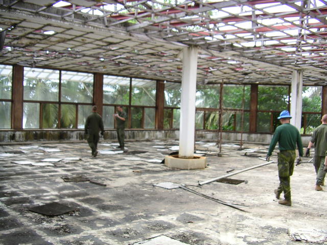 20050320_174252_0.jpg