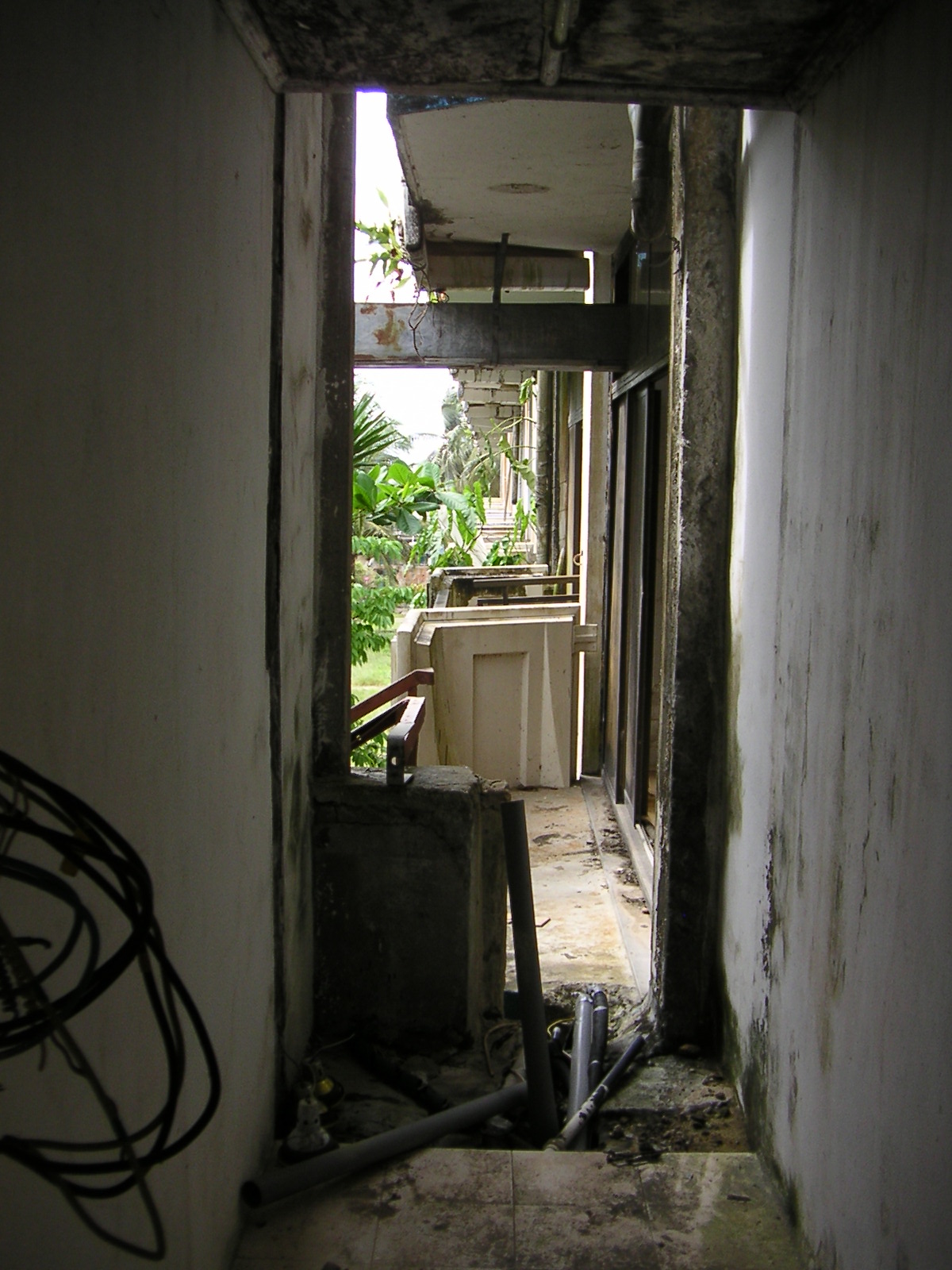 20050320_174407_0.jpg