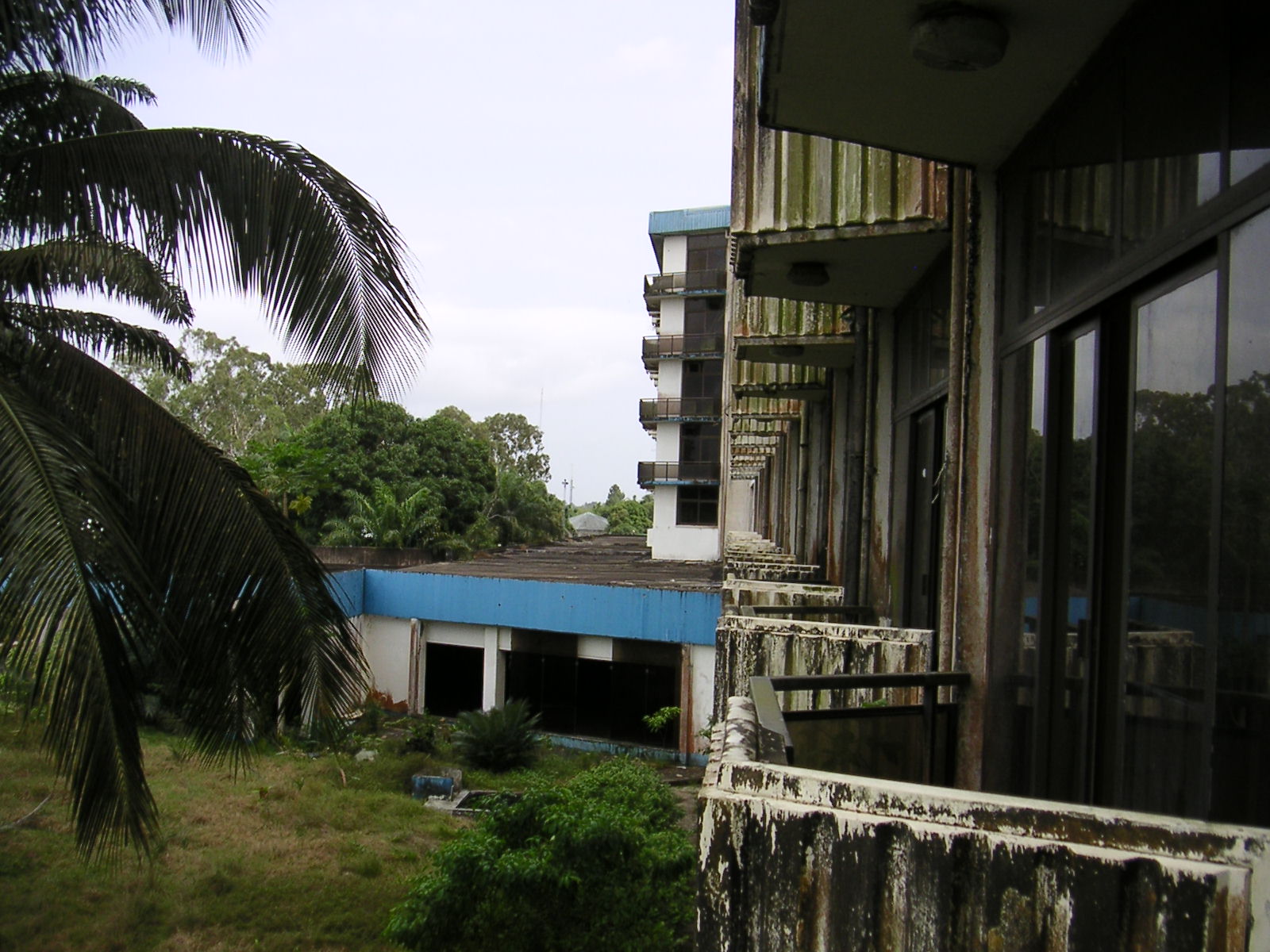 20050320_174608_0.jpg