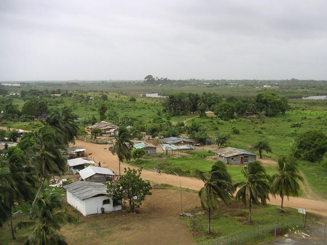 20050320_175358_0.jpg
