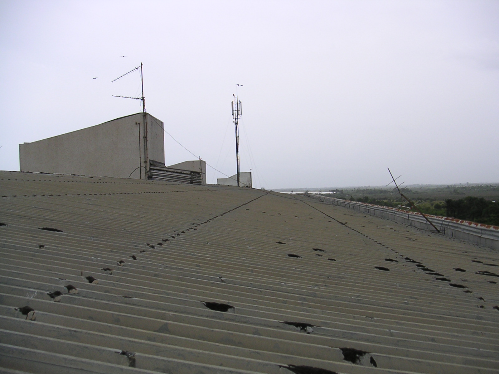 20050320_181140_0.jpg