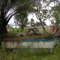 20050320_183232_0.jpg
