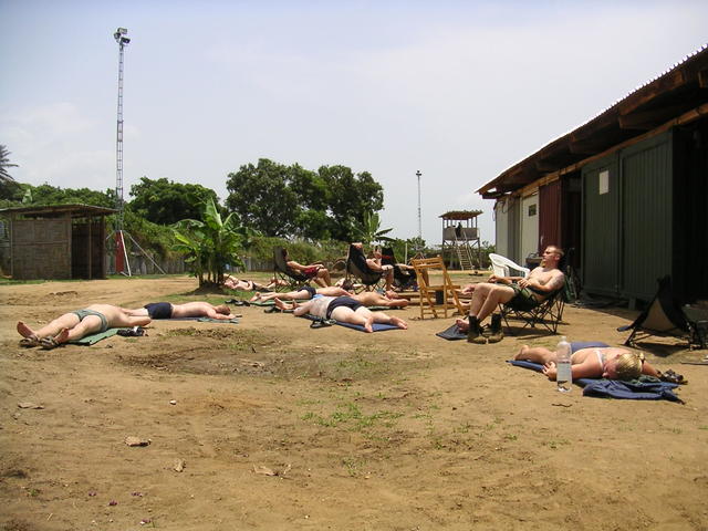 Valrosskoloni