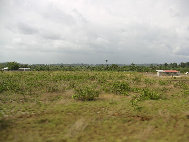 20050330_180240_0.jpg