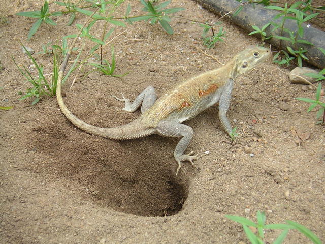 20050408_163215_0.jpg