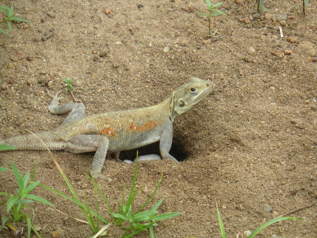 20050408_163424_0.jpg