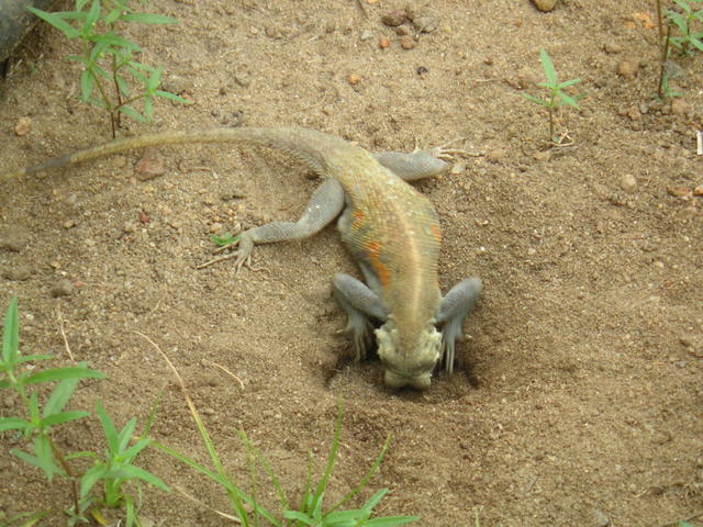 20050408_163651_0.jpg