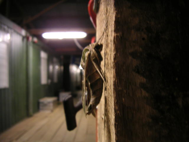 20050418_233539_0.jpg