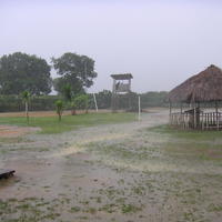 20050603_161945_0.jpg