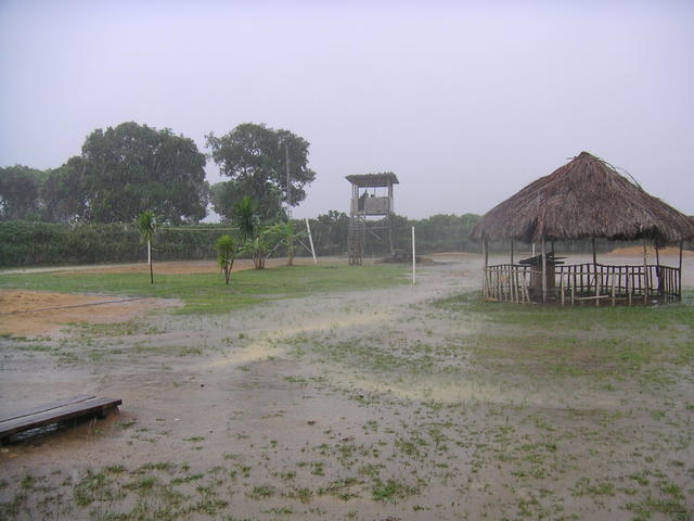 20050603_161945_0.jpg