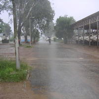 20050603_162207_0.jpg