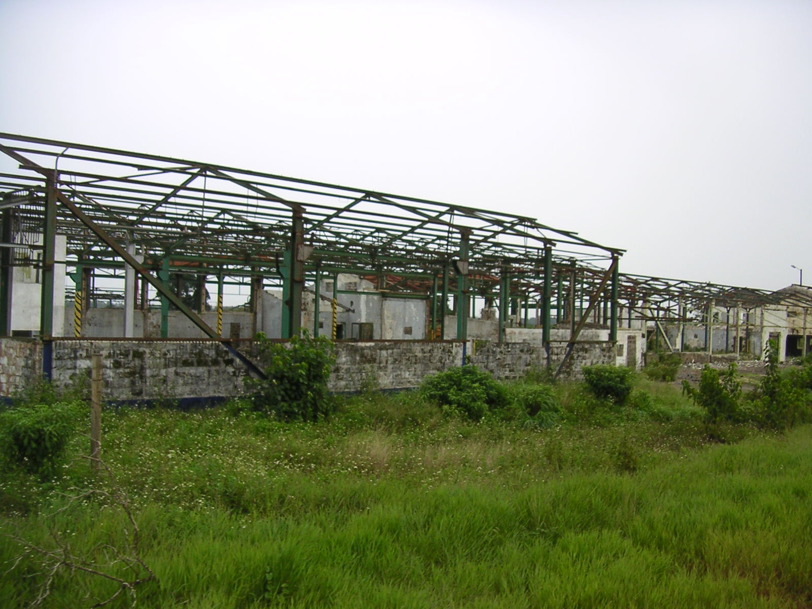 20050802_152939_0.jpg