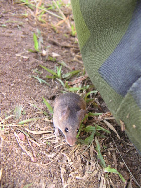 20050805_094717_0.jpg