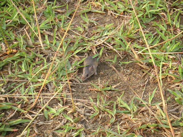 20050805_095134_0.jpg