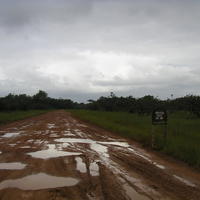 Liberia, vecka 33