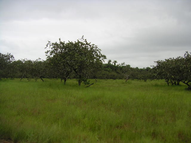 20050820_120114_0.jpg