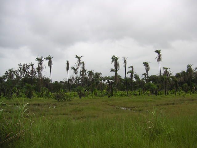 20050820_120705_0.jpg