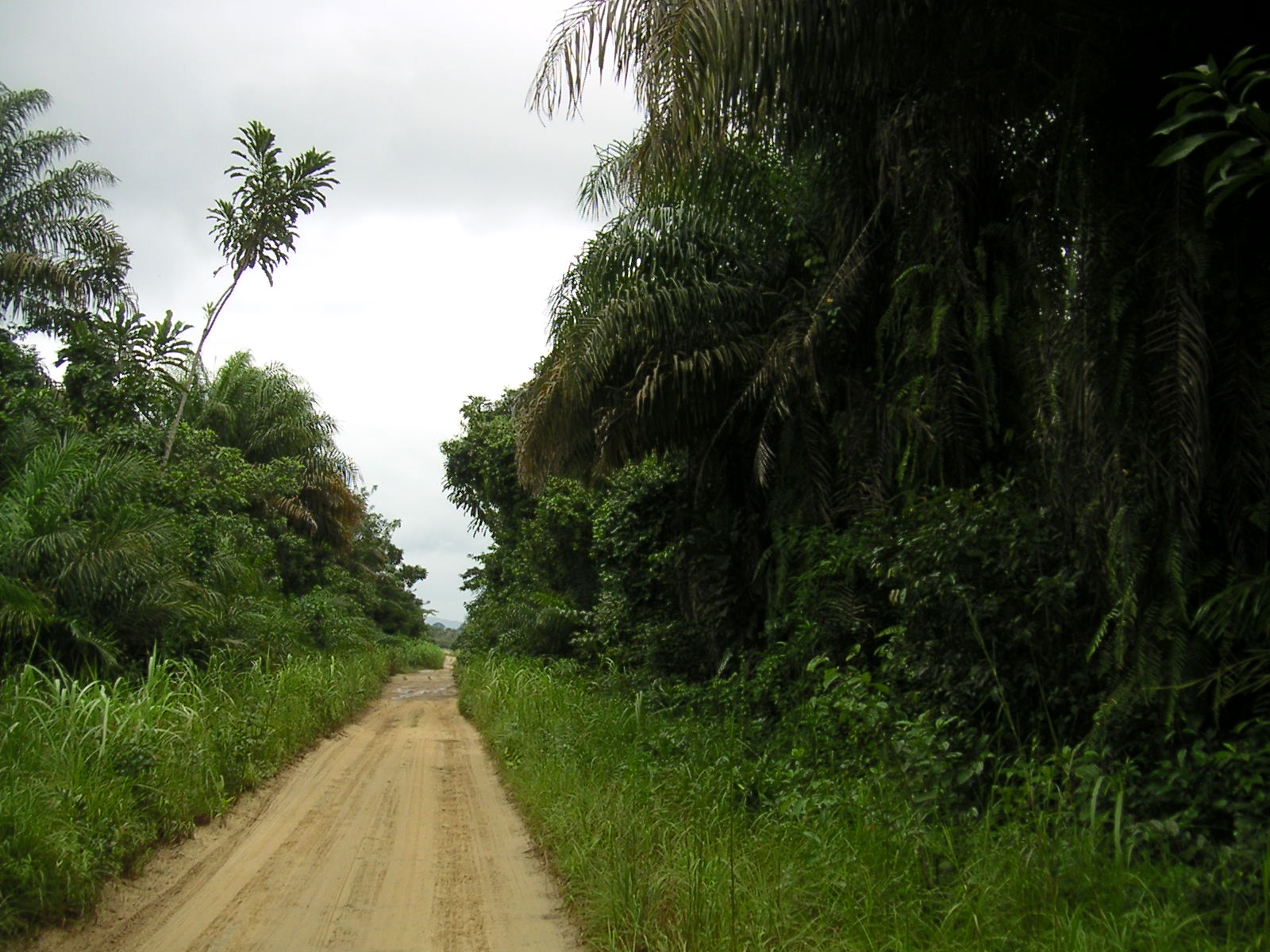 20050820_123228_0.jpg