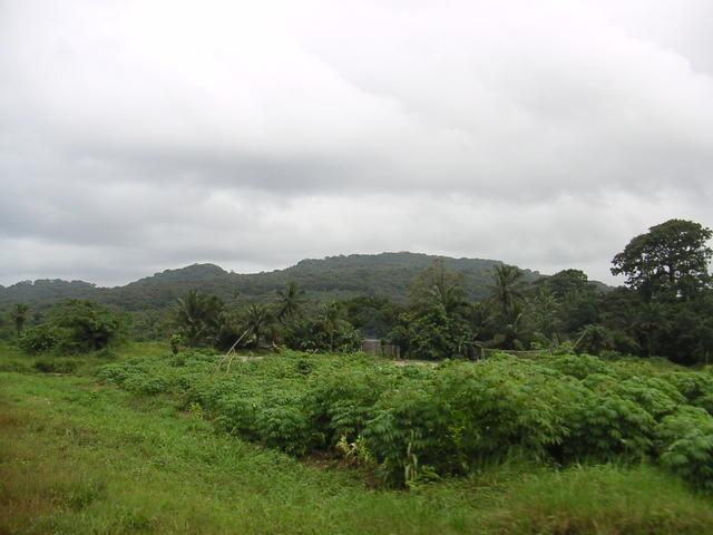 20050820_125341_0.jpg