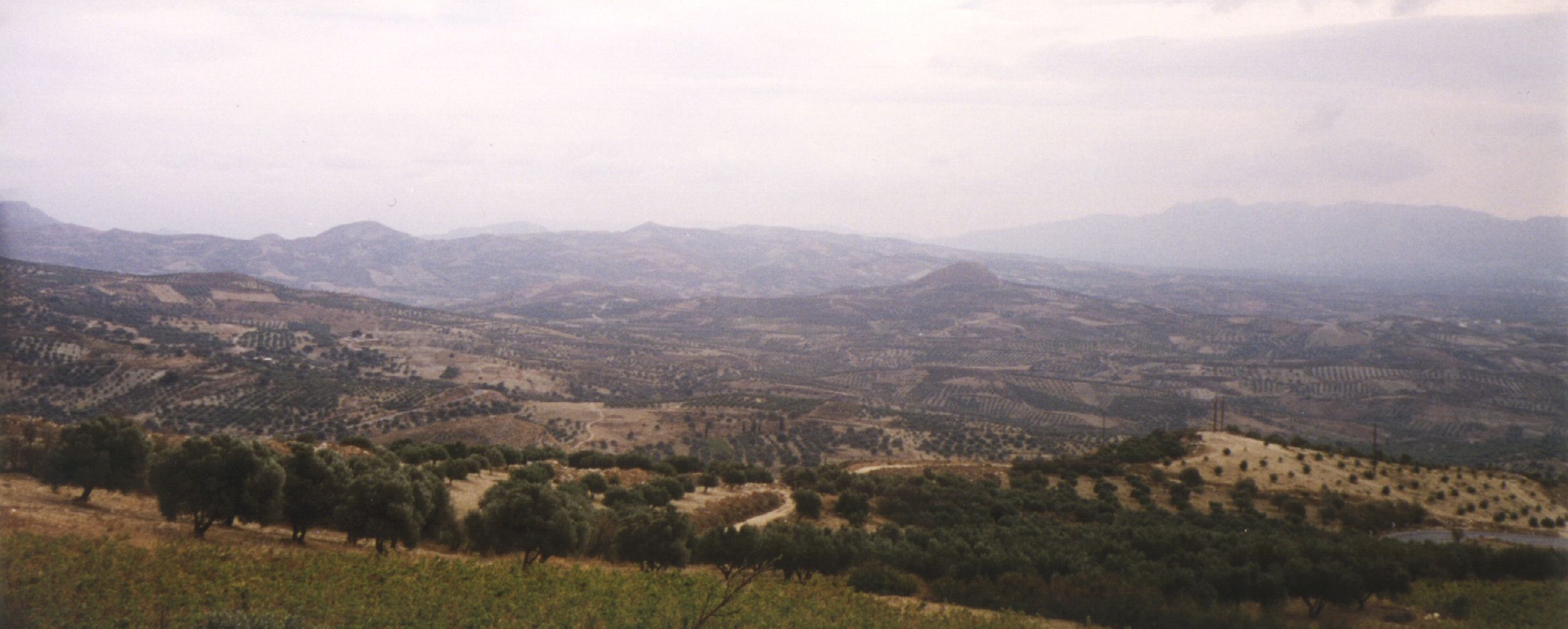 23700_G.jpg