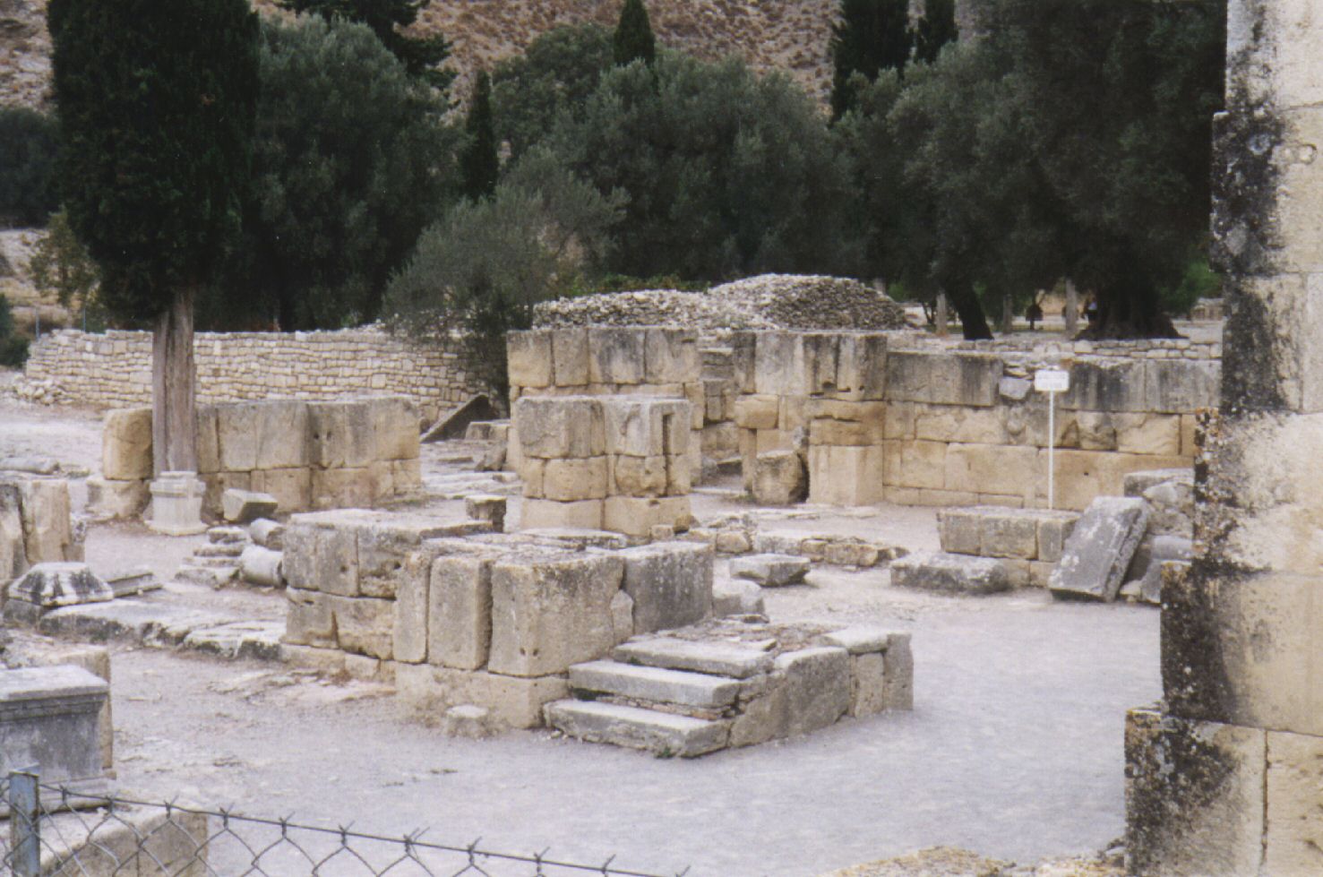 24100_G.jpg