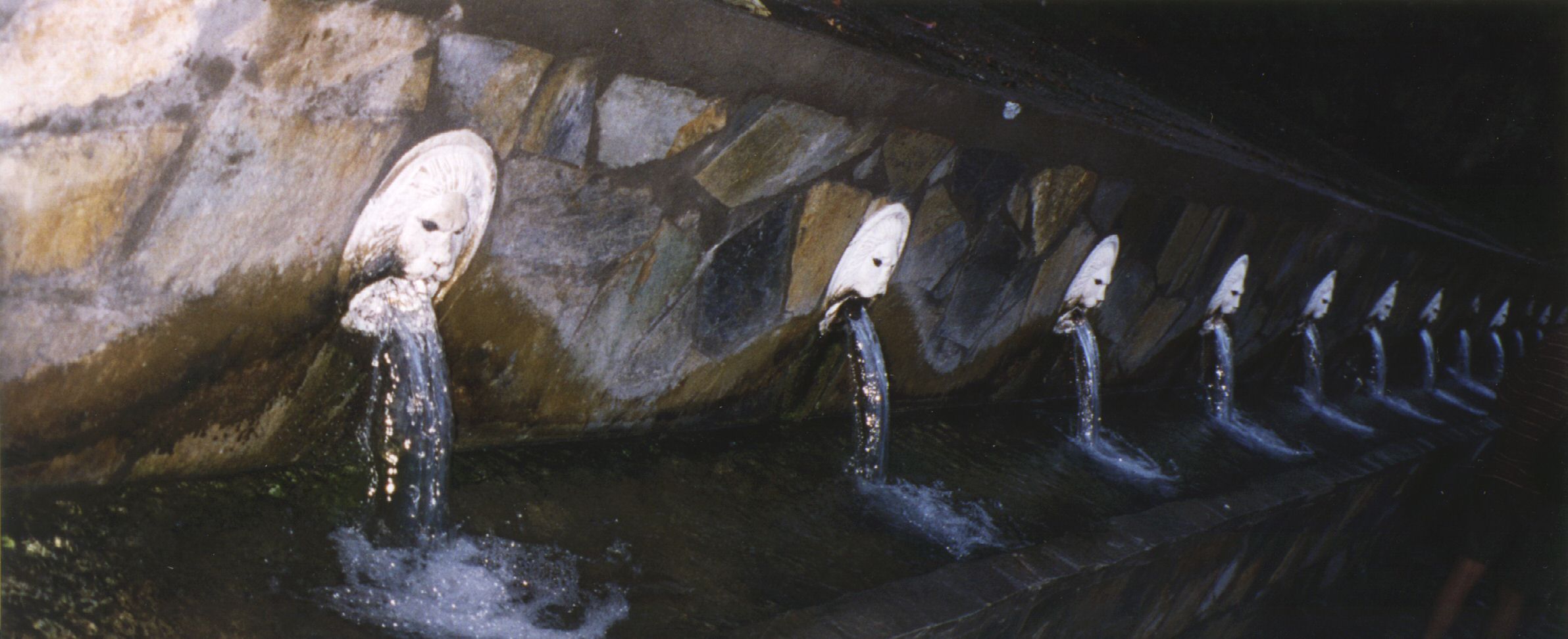 24500_G.jpg