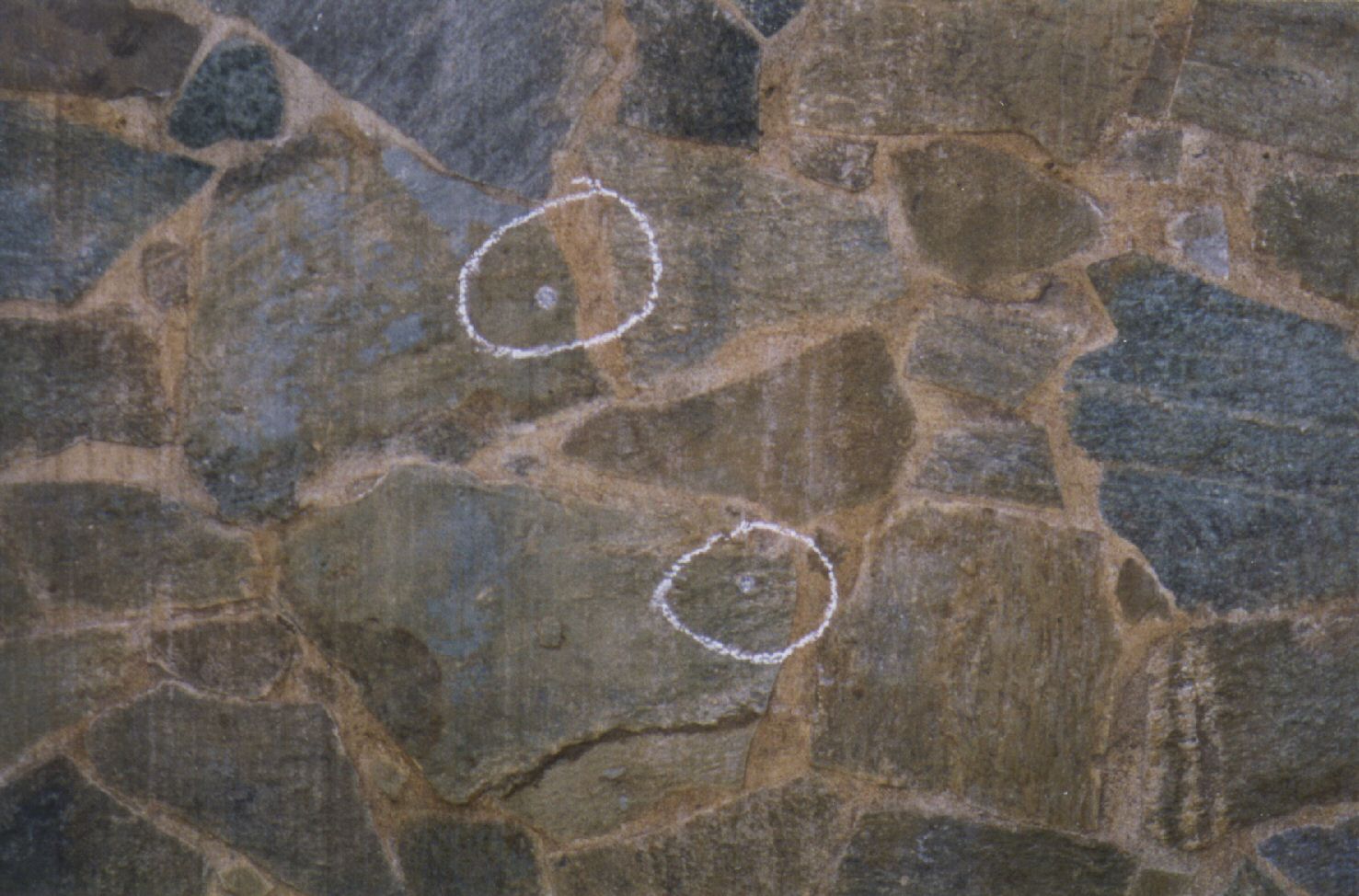 25100_G.jpg