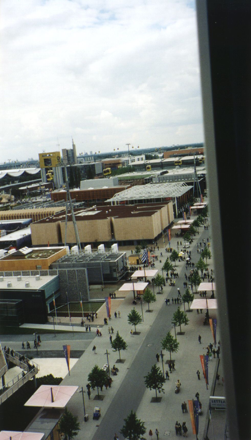 31100_G.jpg