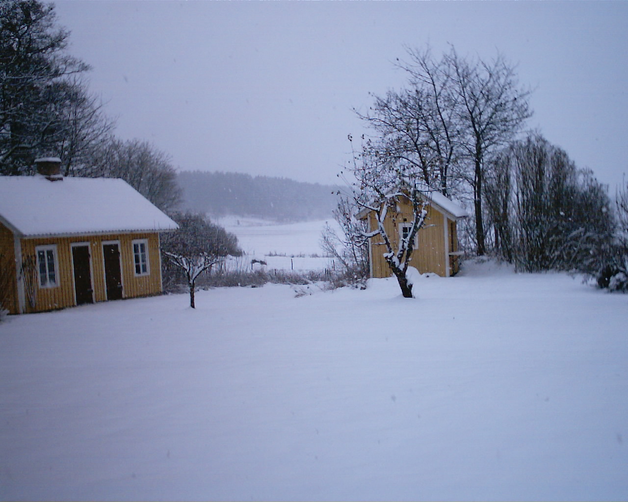 Snön föll efter jul och vi fick någon decimeter.