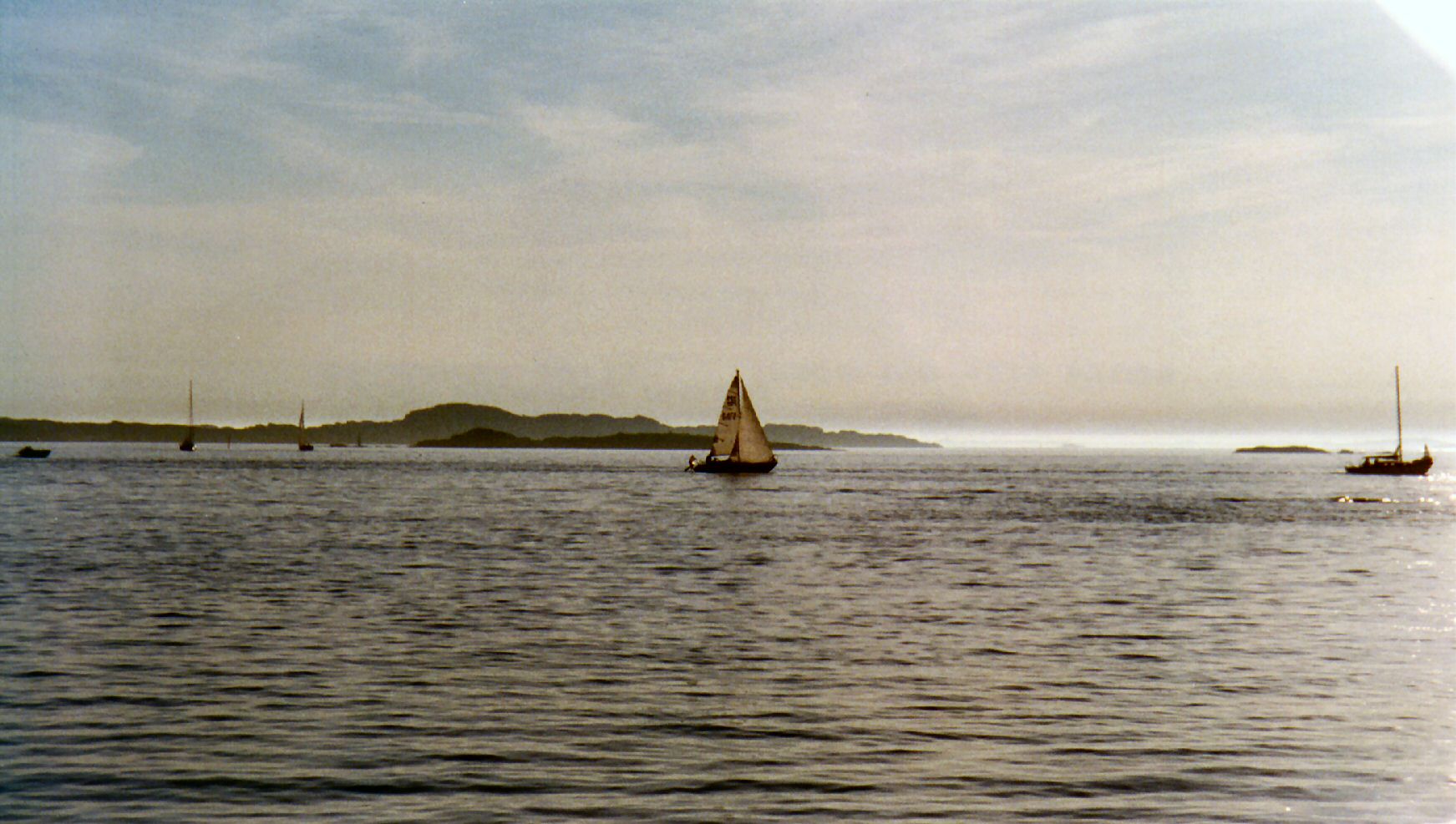 37200_G.jpg