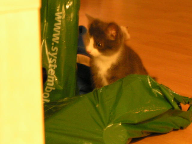 20031231_181841_0.jpg