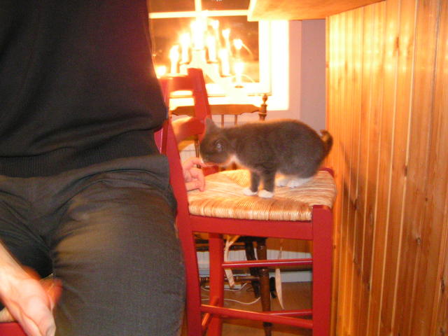 20031231_192835_0.jpg