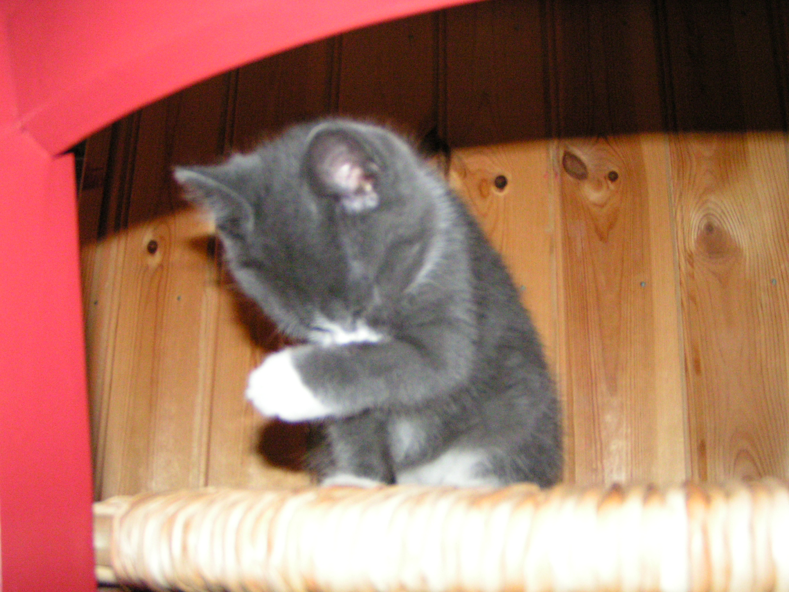 20031231_193005_0.jpg