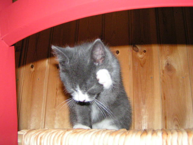 20031231_193011_0.jpg