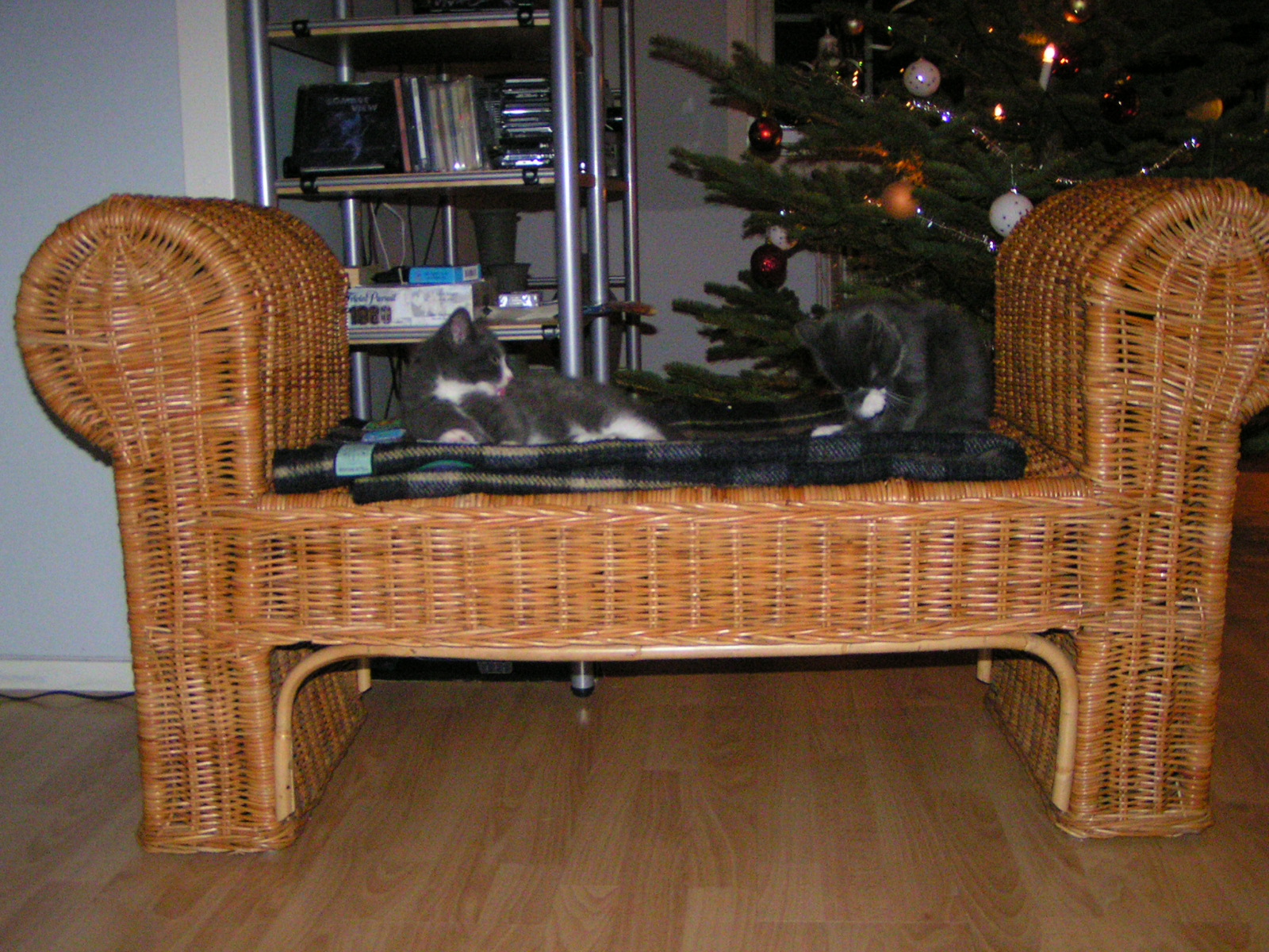 20031231_220408_0.jpg