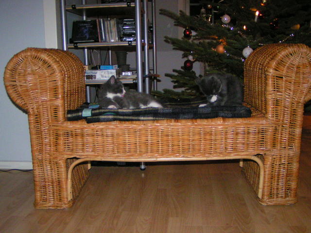 20031231_220408_0.jpg