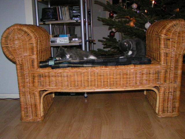 20031231_220413_0.jpg
