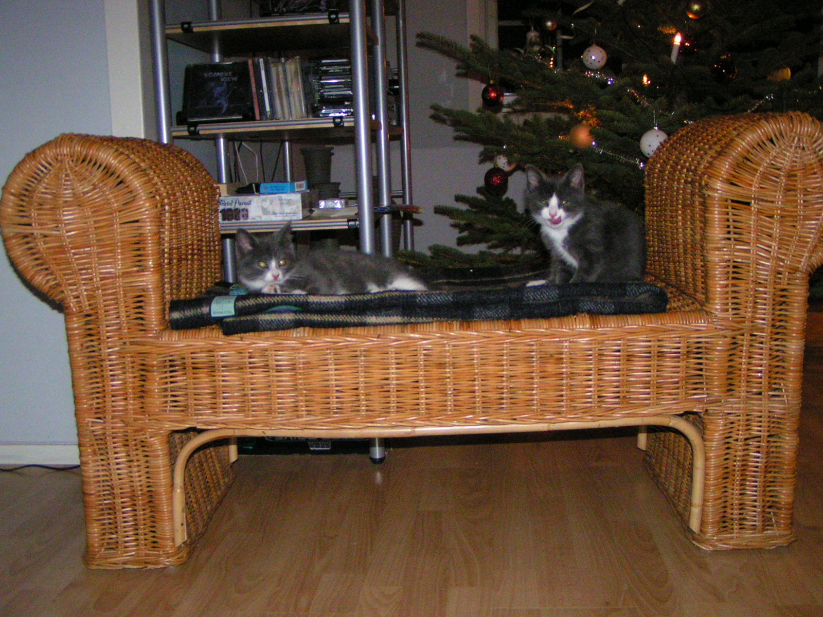 20031231_220425_0.jpg