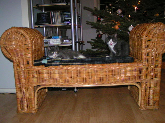 20031231_220425_0.jpg