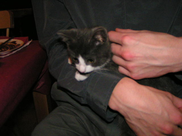 20031231_231024_0.jpg