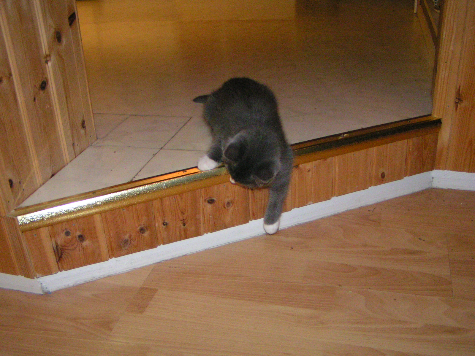 20031231_231447_0.jpg