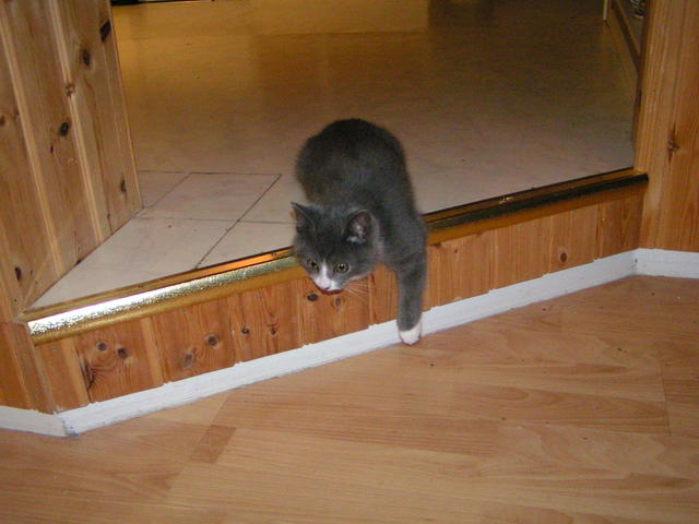 20031231_231456_0.jpg