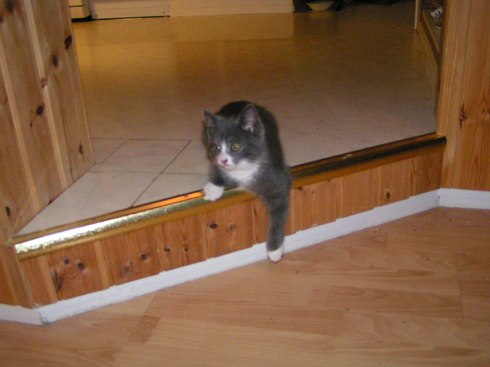 20031231_231459_0.jpg