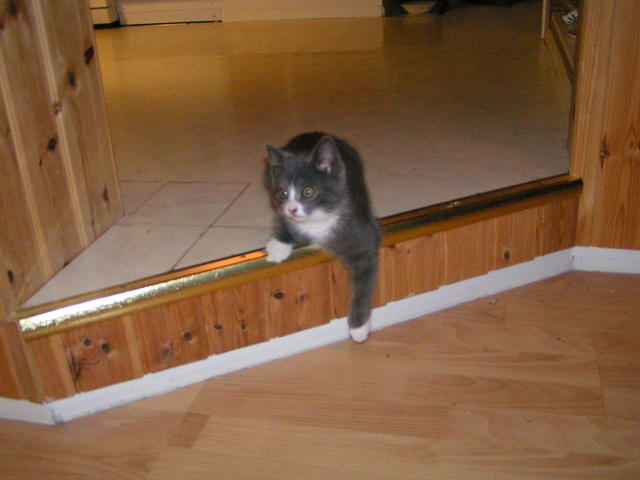 20031231_231459_0.jpg