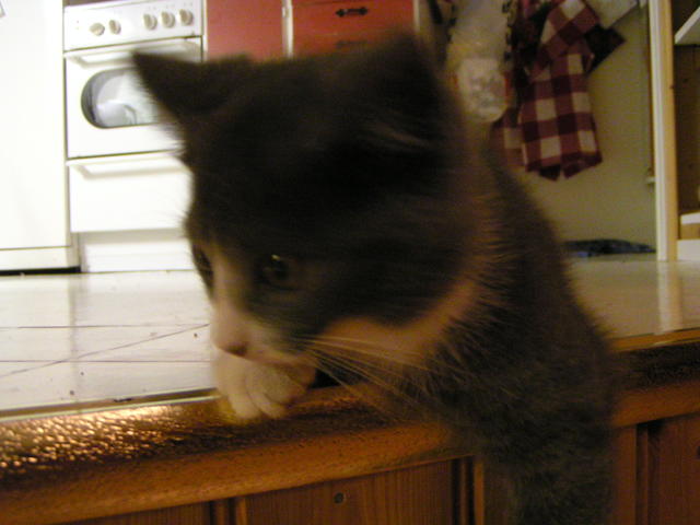 20031231_231517_0.jpg